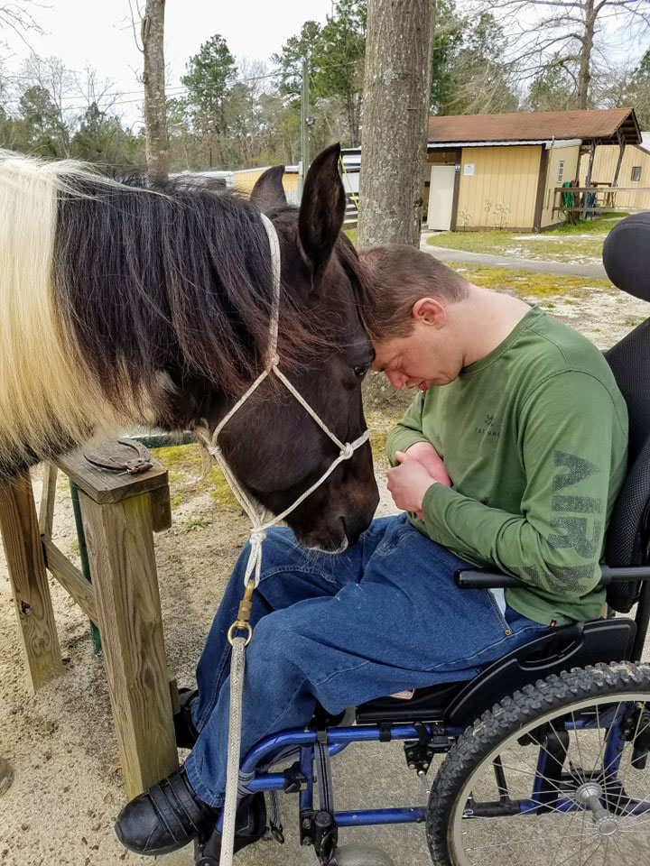 horse with man in wheelchair